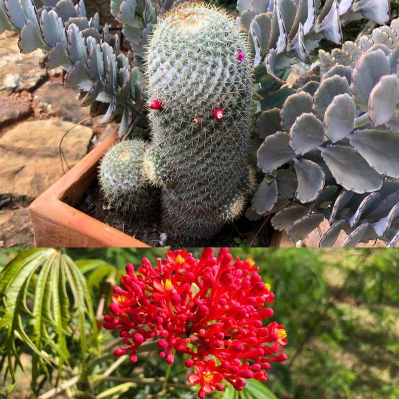 El Paraiso Posada Finca San Vicente บาริชารา ภายนอก รูปภาพ