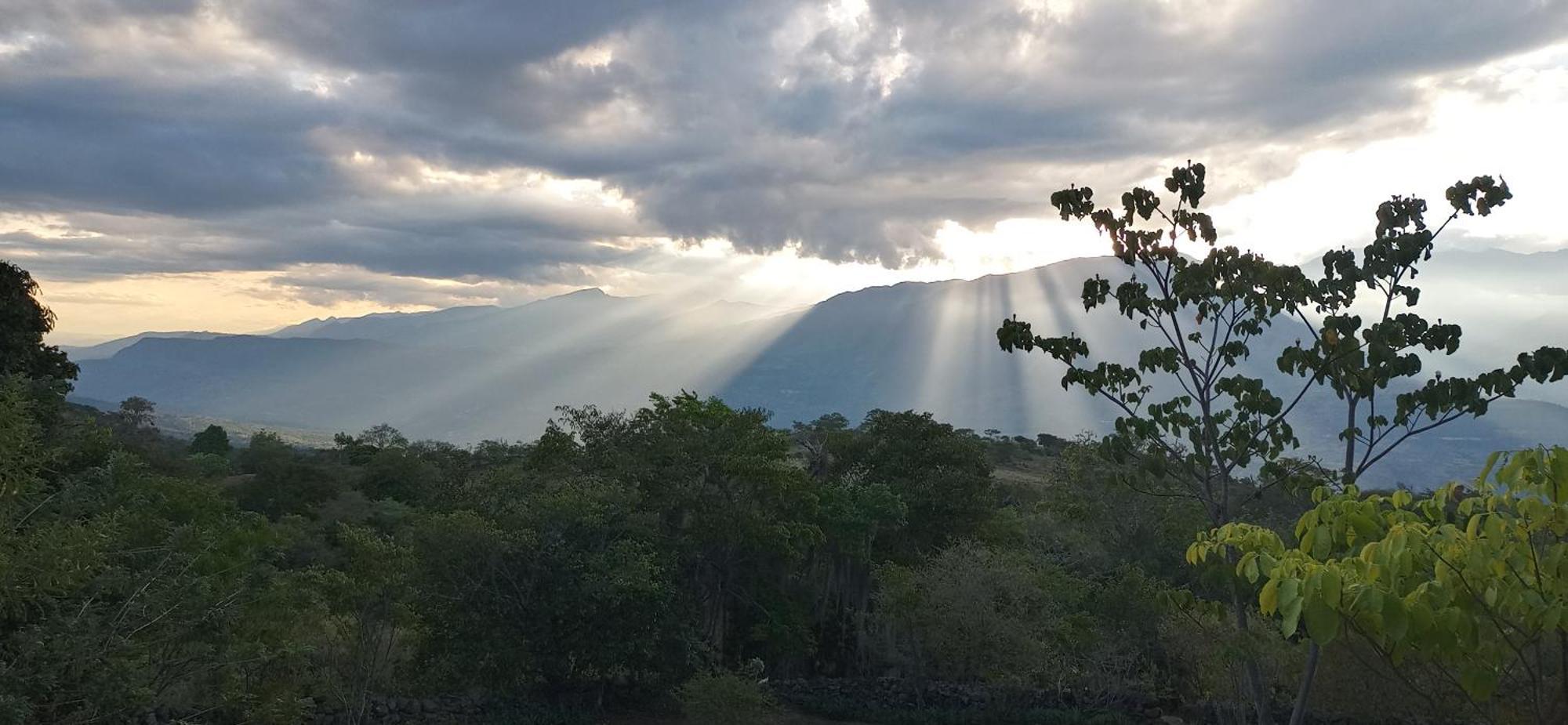 El Paraiso Posada Finca San Vicente บาริชารา ภายนอก รูปภาพ