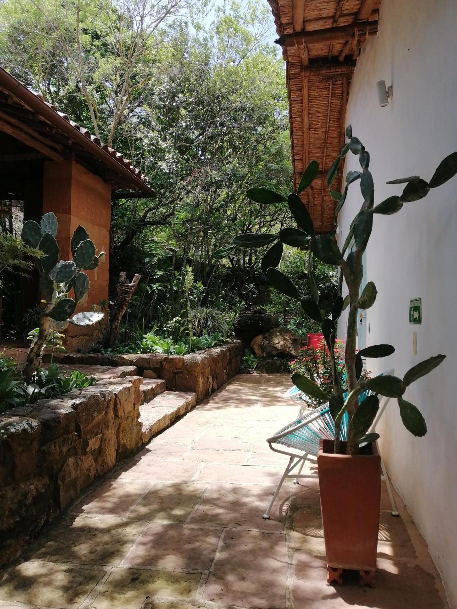 El Paraiso Posada Finca San Vicente บาริชารา ภายนอก รูปภาพ
