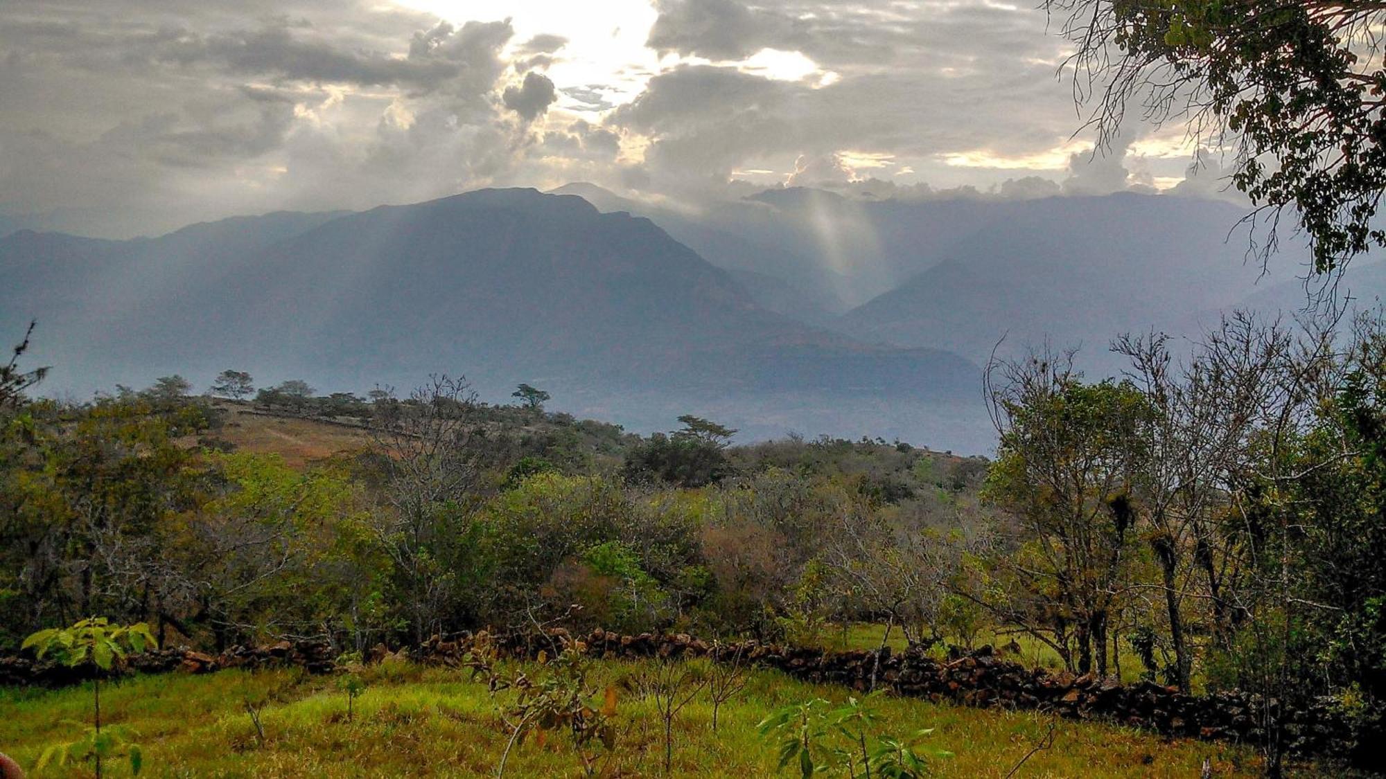 El Paraiso Posada Finca San Vicente บาริชารา ภายนอก รูปภาพ
