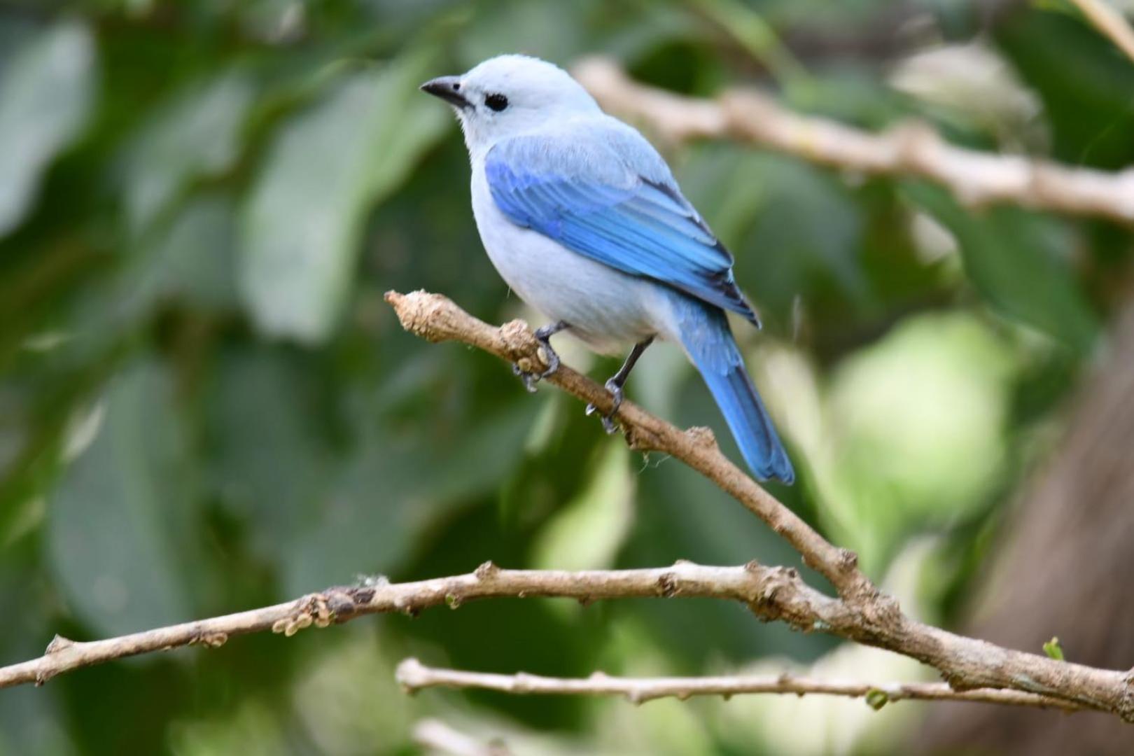 El Paraiso Posada Finca San Vicente บาริชารา ภายนอก รูปภาพ