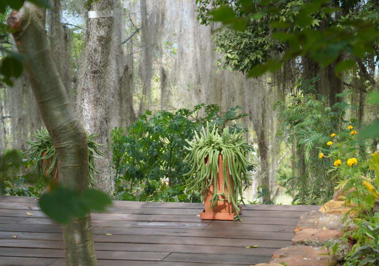 El Paraiso Posada Finca San Vicente บาริชารา ภายนอก รูปภาพ