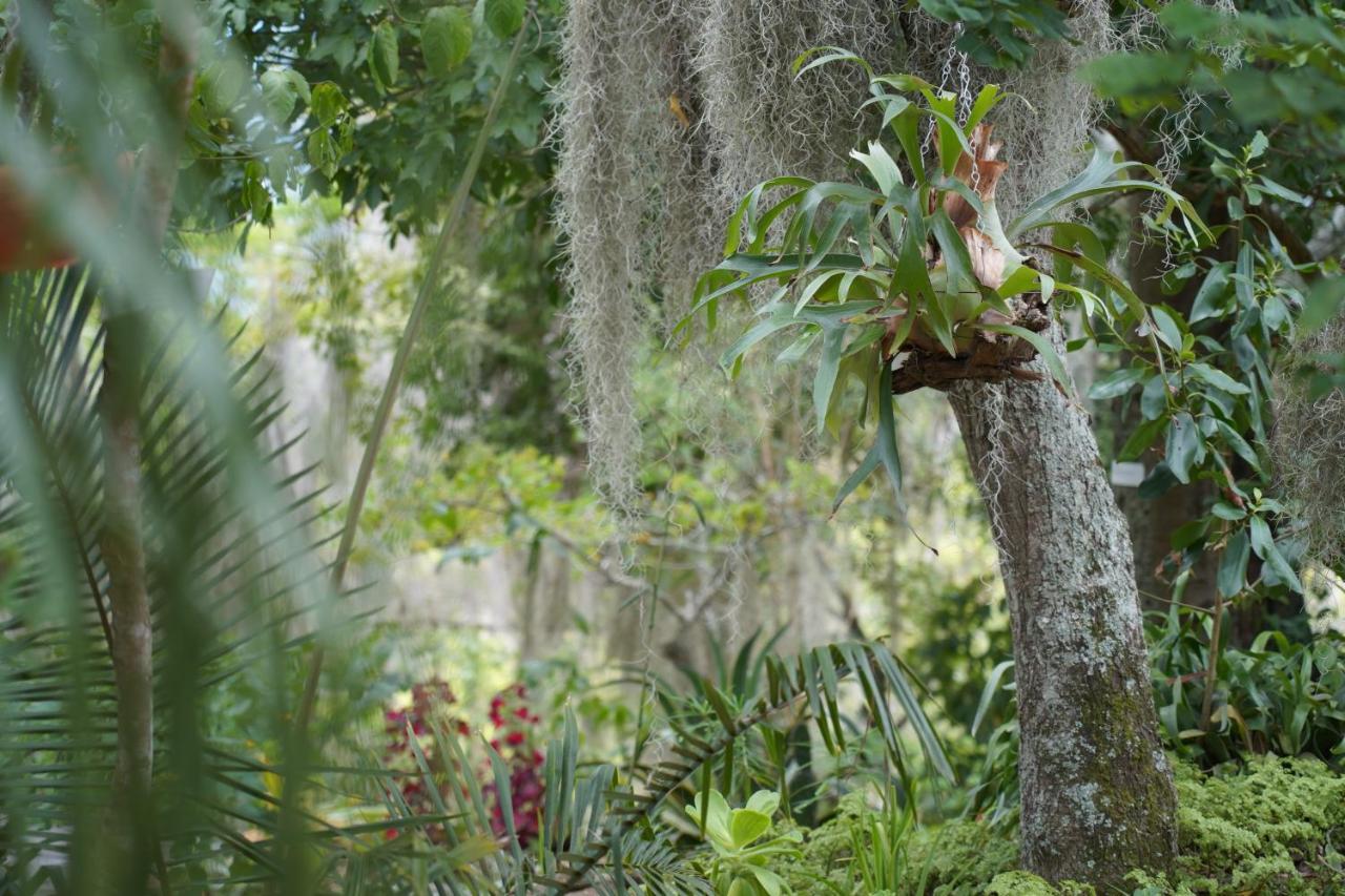 El Paraiso Posada Finca San Vicente บาริชารา ภายนอก รูปภาพ