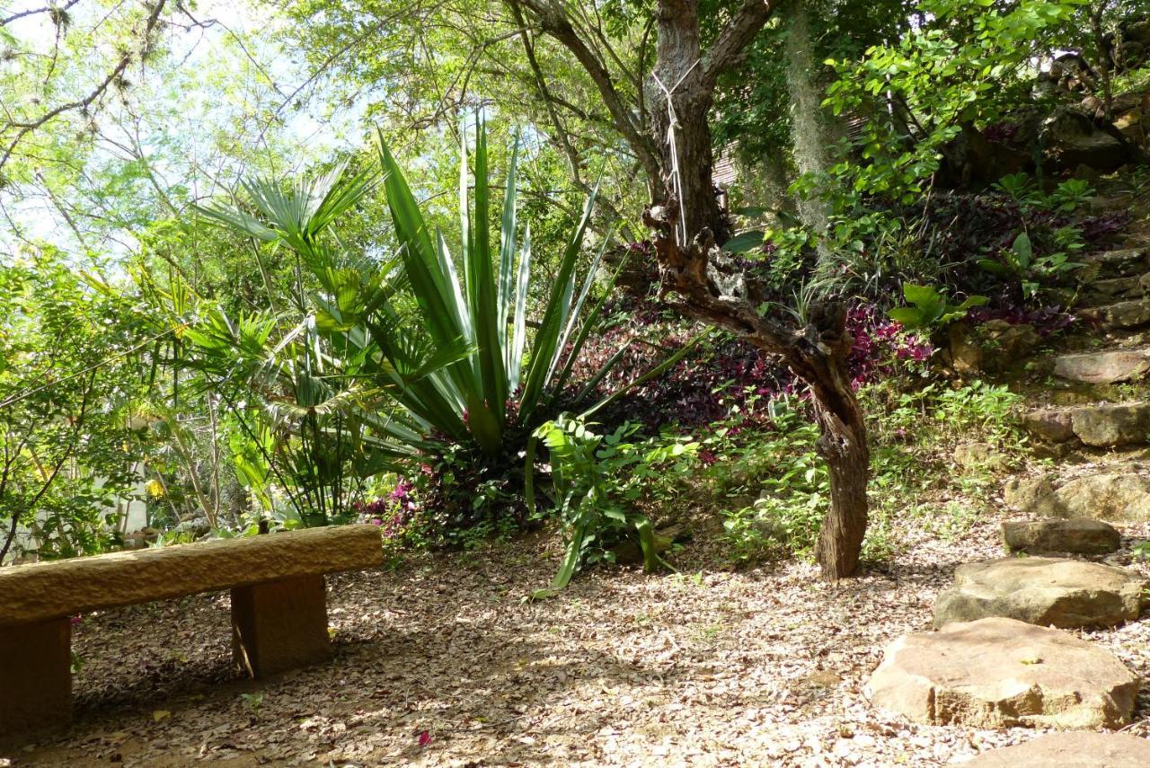 El Paraiso Posada Finca San Vicente บาริชารา ภายนอก รูปภาพ